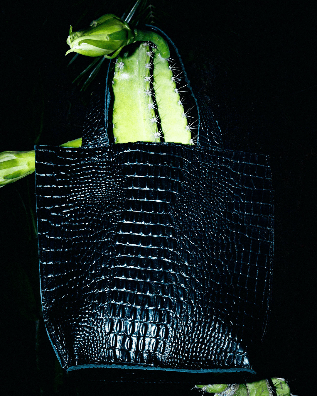 Tote Medium Crocodile - Ossa Bags